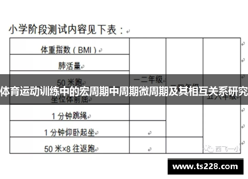 体育运动训练中的宏周期中周期微周期及其相互关系研究